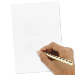 Hallmark Black Script Bulk Boxed Blank Thank-You Notes, Pack Of 40 -Best Christmas Decoration Stores Black Script Boxed Blank ThankYou Notes Multipack 1TYN2453 03