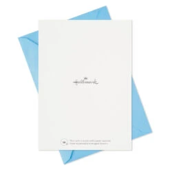 Hallmark Blue Watercolor Assortment Blank Sympathy Thank-You Notes, Pack Of 24 -Best Christmas Decoration Stores Blue Watercolor Assortment Sympathy ThankYou Notes 5STZ1137 07