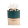 Demdaco Relax Succulent Oil Diffuser -Best Christmas Decoration Stores Demdaco Relax White Flower Succulent Oil Diffuser 1004540035 01