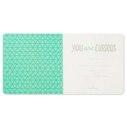Hallmark MopTops Porcupine Stuffed Animal With You Are Curious Board Book - Image 5