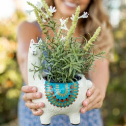 Best Christmas Decoration Stores -Best Christmas Decoration Stores Natural Life Cream Ceramic Llama Planter PLNT073 02