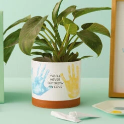 Best Christmas Decoration Stores -Best Christmas Decoration Stores Never Outgrow My Love Planter With Paints 1BBY4851 02