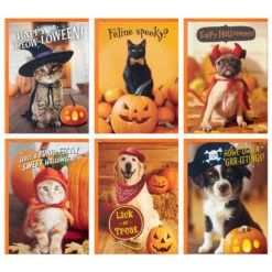 Best Christmas Decoration Stores -Best Christmas Decoration Stores Pet Puns Boxed Halloween Cards Assortment 5ELT1013 02