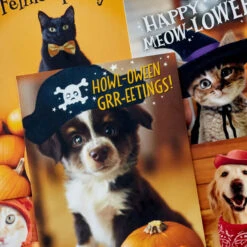 Hallmark Pet Puns Boxed Halloween Cards Assortment, Pack Of 48 -Best Christmas Decoration Stores Pet Puns Boxed Halloween Cards Assortment 5ELT1013 03