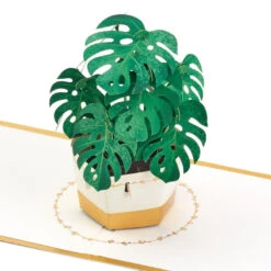 Hallmark Plant In Pot 3D Pop-Up Thinking Of You Card