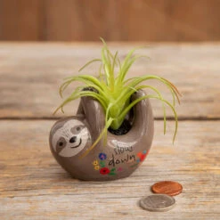 Natural Life Faux Succulent In Sloth Planter, 2"